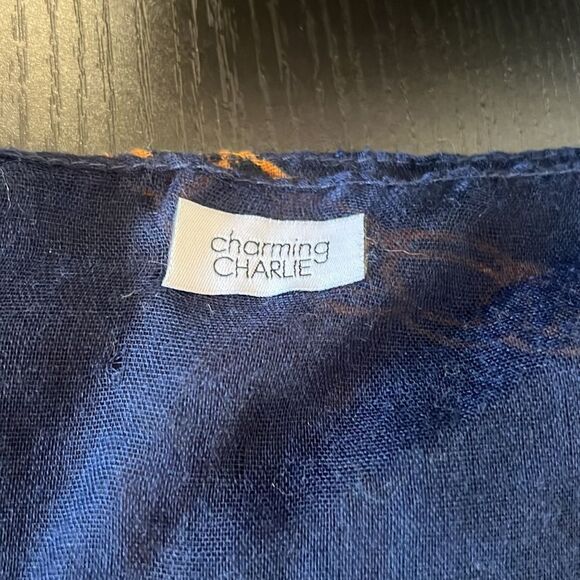 Charming Charlie Jewelry Chain Design Scarf - Picture 4 of 4